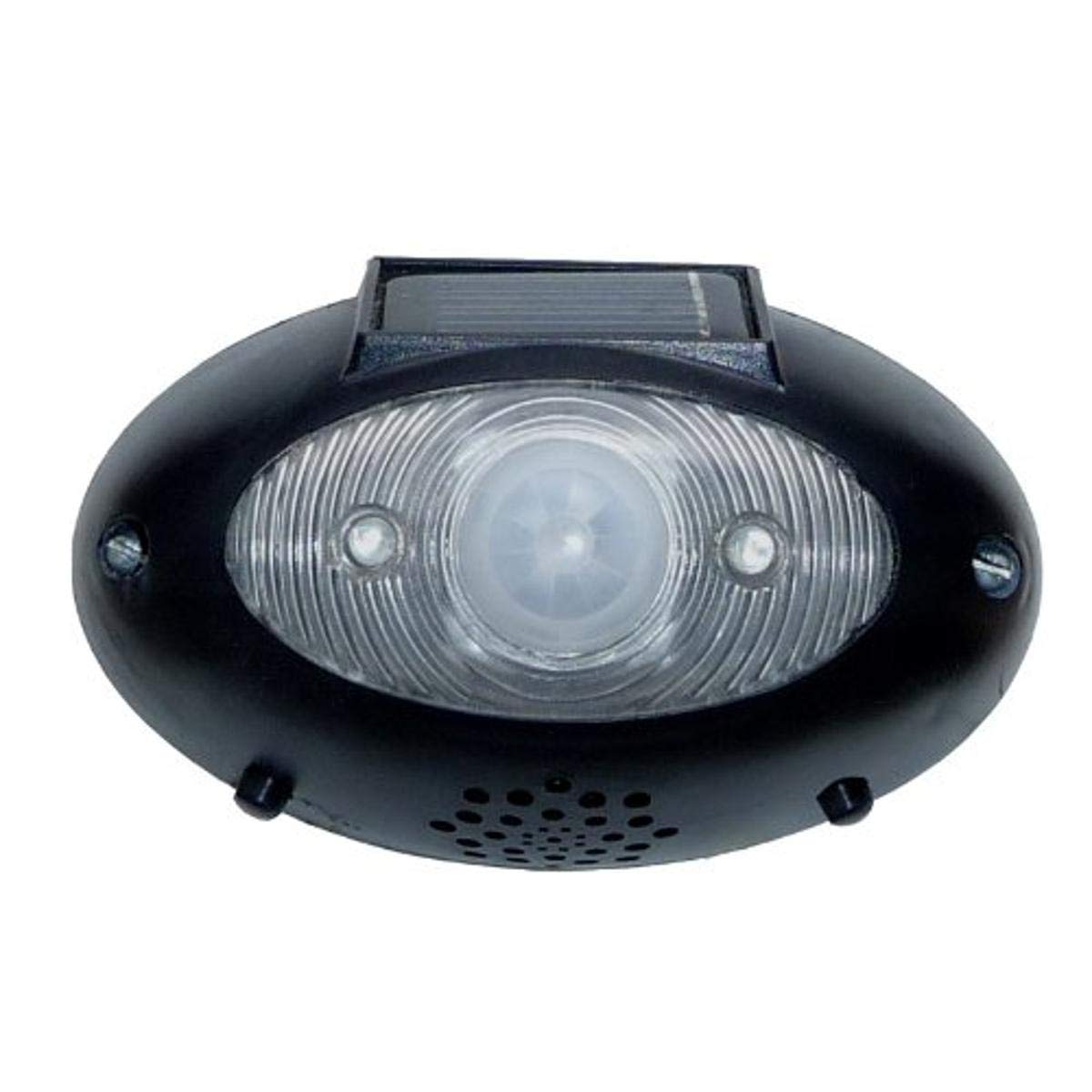 HOMEBRITE EW1 EyeWatch Outdoor Wireless SolarPowered Security Motion