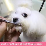 HASHIMOTO Small Dog Grooming Scissors 5.0 in Rounded Tips Micro-Serrated view 5