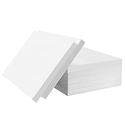 AMZQNART Craft Foam Blocks, 1 in Thick 17x11" EPS