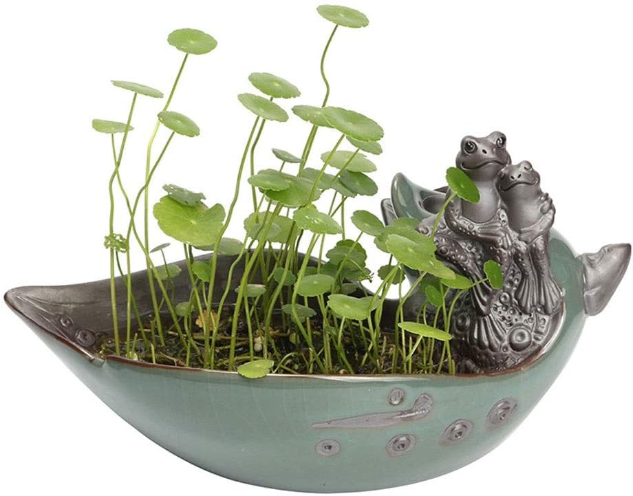 MeoGnl Creative Copper Money Grass Hydroponic Flower Pot Chinese Bonsai Water Bowl Lotus Water Lily Personality Creative Ceramic Flower Pot Without Holes