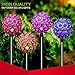 Solar Garden Decorations - Yard Solar Lights for Outdoor