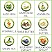 Fair Trade Shea Body Mousse (CHOCOLATE SOUFFLE) All Natural Body Cream | Age Defying | Made with Organic Ingredients | Highest Quality Shea Butter | Super Fruits | Cocoa Butter | Apricot Kernal Oil