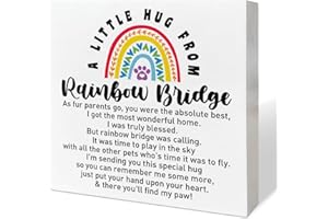 RJYMK Memorial Gifts for Lose of Dog Cat, Pet Cat Sympathy Gifts Dog Remembrance Gifts Loss of Cat Bereavement Gifts, A Little Hug from Rainbow Bridge, Dog Memorial Desk Decor Cat Sympathy Wooden Box Sign