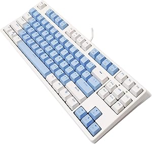 60% Gaming Keyboard 87 Key, RGB Rainbow LED Backlight, Tenkeyless Mechanical Keyboards for Windows and Mac (Black Switches, Blue-White)