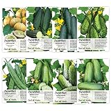 Seed Needs, Cucumber Seed Collection (8 Individual Packets) Non-GMO