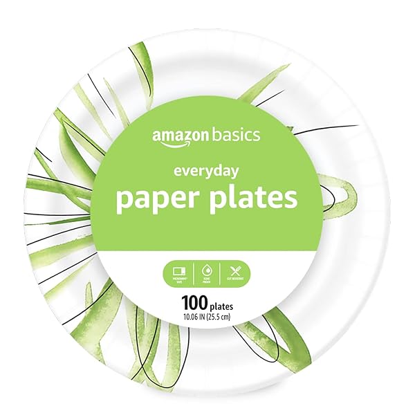AMAZON BASICS EVERYDAY PAPER PLATES, 10 INCH, DISPOSABLE, 100 COUNT