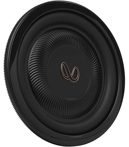Amazon.com: Infinity REFERENCE103W 10