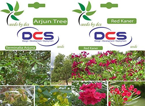DCS Arjun Tree and Red Kaner Seeds (White)