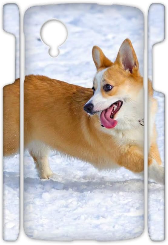 google corgi