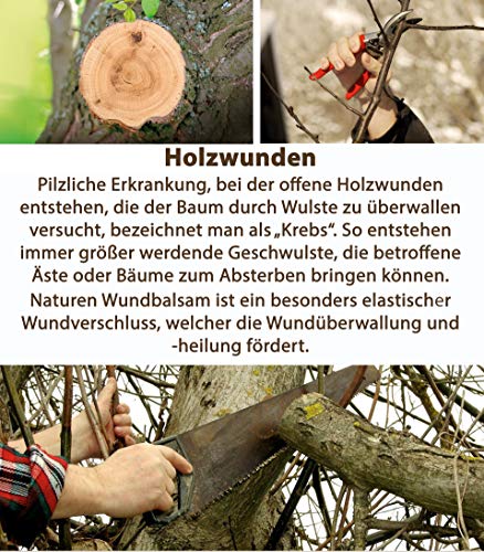 Substral Naturen Bio Wundbalsam, Wundverschlussmittel , das elastische Baumpflaster nach dem Baumschnitt, 150 g – Bild 3