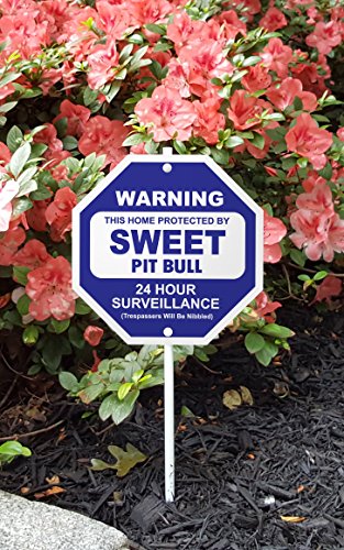 Imagine This Sweet Pit Bull Silly Security Sign