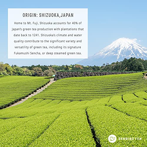 Senbird Organic Hojicha Japanese Roasted Green Tea From Shizuoka