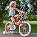 Huffy 18