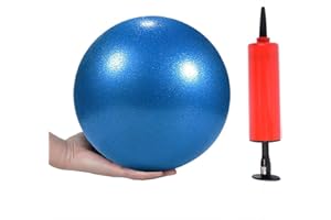 MoldFun Mini Yoga Pilates Ball 10 Inch for Stability Exercise Training Gym Anti Burst and Slip Resistant Balls with Inflatable Straw