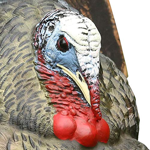 AvianX Strutter Decoy, Collapsible Realistic Turkey Decoy Pricepulse