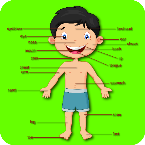 Teach Body Parts To Preschoolers And Toddlers - 1 To 5