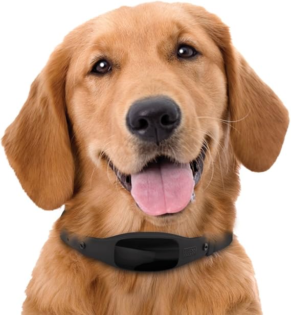 black and decker gps dog collar