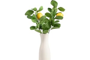 Hagao Artificial Fruit Branches Artificial Lemon Highly Simulation Lifelike Model for Vase Home Party Decoration (2pcs Mini Lemon Branches)
