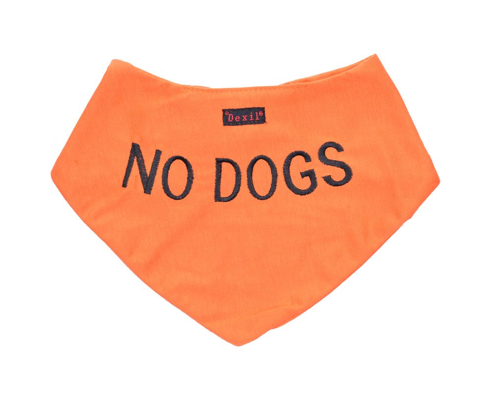 Dexil NO DOGS Orange Dog Bandana Quality Personalised Embroidered Message. Neck Scarf Fashion Accessory. PREVENTS Accidents By Warning Others Of Your Dog In Advance