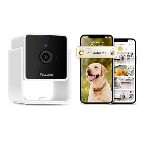 Petcube Cam and Care Coverage Subscription Indoor Wi-Fi Pet and