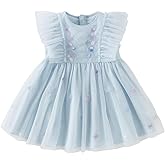 DAVE&BELLA Toddler Girl Tutu Dress, Summer Ruffle Short Sleeve Tulle Dress Floral Embroidery Holiday Party Princess Sundress