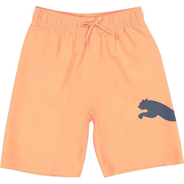 MARK & LONA Pantera Swim Shorts サイズS MARK & LONA Pantera Swim Shorts サイズS Leo Pantera Swim