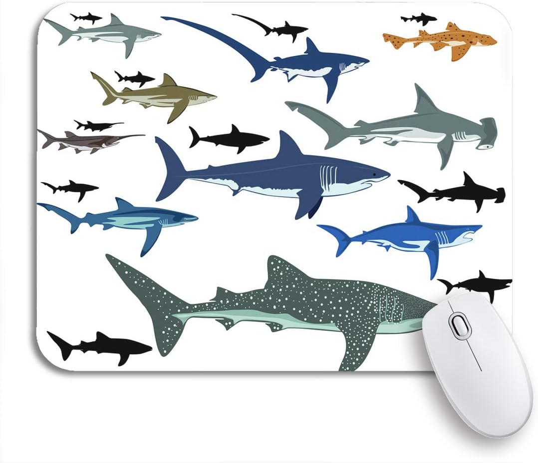 Adowyee Gaming Mouse Pad Blue Whale Shark Species Reef Aquatic Life Fin Miscellaneous 9.5"x7.9" Nonslip Rubber Backing Computer Mousepad for Notebooks Mouse Mats