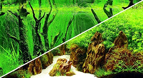 Hobby Fotorückwand-Zuschnitt Canyon / Woodland