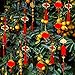 Supla 82 Pcs Chinese New Year Decorations Chinese Hanging Good Luck Ornaments Red Lanterns Festive Tree Ornaments Paper Fans for Asian Chinese Lunar New Year 2025 Year of The Snake Party Decor