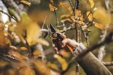 Fiskars X-Series PowerGear P961 Bypass Pruner L 22.2 cm Black Orange view 4