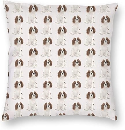 Dfform Funda de cojín Cuadrada Decorativa Cavalier King Charles Spaniel
