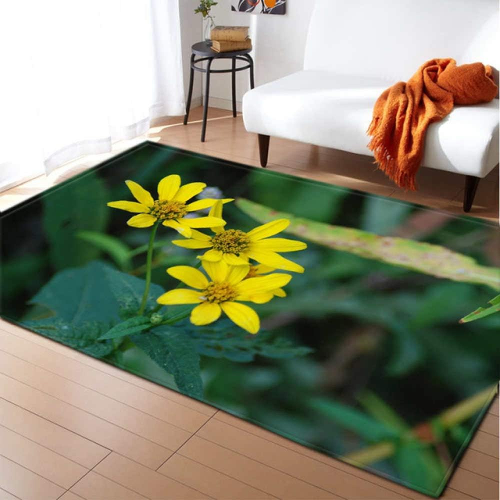 KFEKDT Rural Living Room Carpet 3D Flower Children's Room Game Pad Home Decoration Bedside Bedroom Carpet No-5 120x170cm