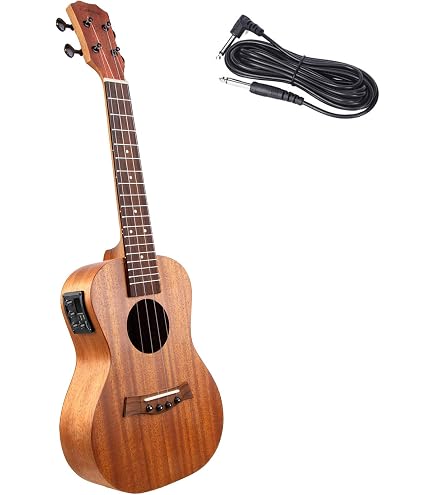 Amazon.com: Eastman VL401 Ivan Dunov Intermediate Violin - 4/4