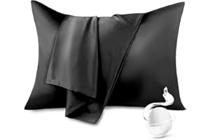 100% Pure Mulberry Silk Pillowcase Silk Pillow Cases for Hair and Skin with Hidden Zipper,6A High-Grade Fibers Dual Sides Sil