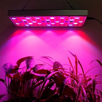 Luz de la planta Luces para el crecimiento de las plantas Led Grow Light Full Spectrum