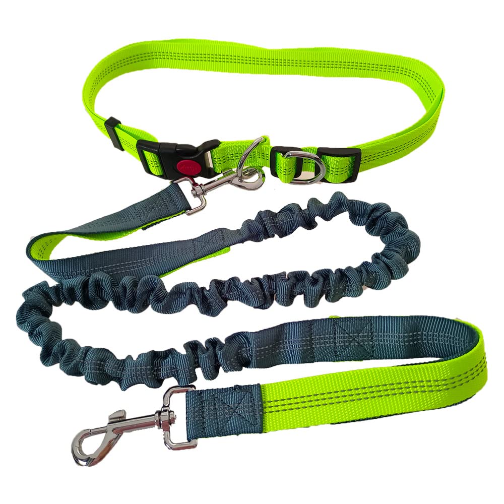 QitinDasen Hands Free Dog Leash - Green Adjustable Waist Belt and Grey Dual-Handle Retractable Bungee Leash with Reflective Stitching