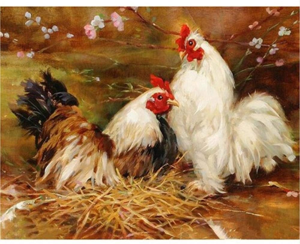 FANGYUAN Hahn DIY Malen nach Zahlen Moderne Wandkunst Bild