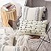 MIULEE Decorative Throw Pillow Cover Tribal Boho Woven Tufted Pillowcase Super Soft Tufting Dot Cushion Case for Sofa Couch Bedroom Car Living Room 12X20 Inch Beige