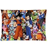 Home Pillow Art Animation Dragon Ball Z Characters Series Custom Throw Pillowcase Rectangle Pillow Case Cover Standard Size 20X30 Inches (Two Sides)