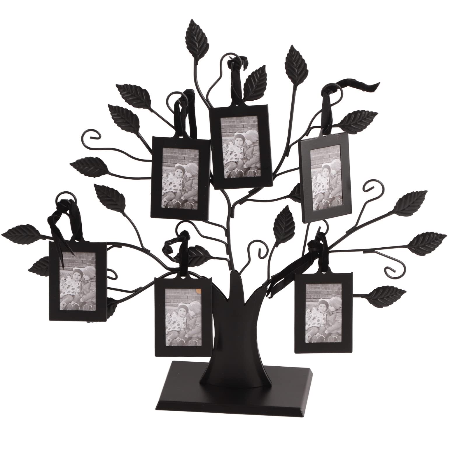 6 Hanging/12 Hanging Photos Display Tree Family Tree Photo Frame with Hanging Tree Design Decorative Table for Photo Picture Tree Display(S)
