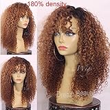 Human Hair Wigs 180% Density Ombre Kinky Curly Wig Glueless Full Lace Wigs Lace Front Wigs For Black Women (24", lace frontal wig)
