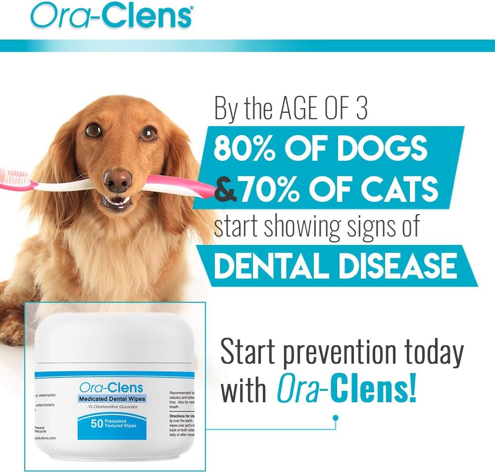 dog dental wipes amazon