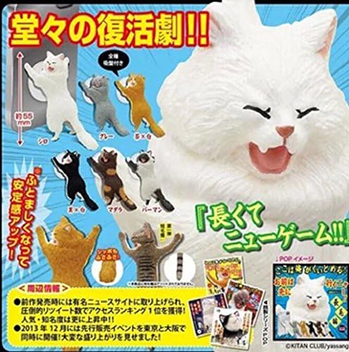 Milkhouse Cat Phone Sucker Cat Phone Bracket Cats Sucker with Stand for Phone (Black+White)