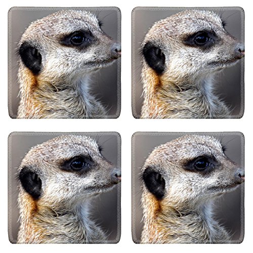MSD Natural Rubber Square Coasters Set of 4 IMAGE of meerkat mammal cute animal alert