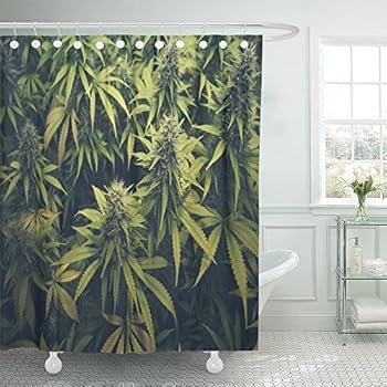 Emvency Shower Curtain Waterproof Adjustable Polyester Fabric Green Weed Cannabis Bud Marihuana Plants Marijuana Sativa Hemp Indica Grow Farm 72 x 72 Inches Set with Hooks for Bathroom