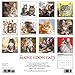 Just Maine Coon Cats 2017 Calendar