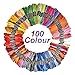 Hisome Embroidery Thread Craft Cross Stitch Floss 100 Skeins Rainbow Color Friendship Bracelet Floss