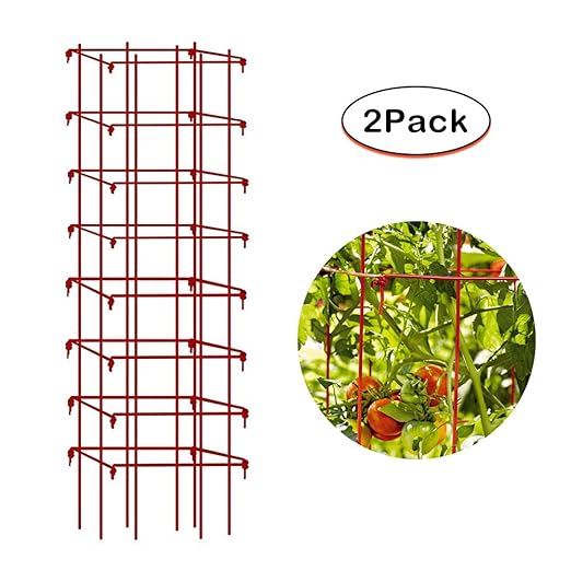 ecotrellis Super alta enrejado Tomate 64 cm H por 14 Inch Square ...
