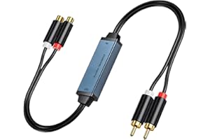 Danfetsoy Ground Loop Noise Isolator RCA, Gold Coating RCA Connectors Aluminum Shell Audio Eliminating Humming Noise for car and Home Using in Different situations