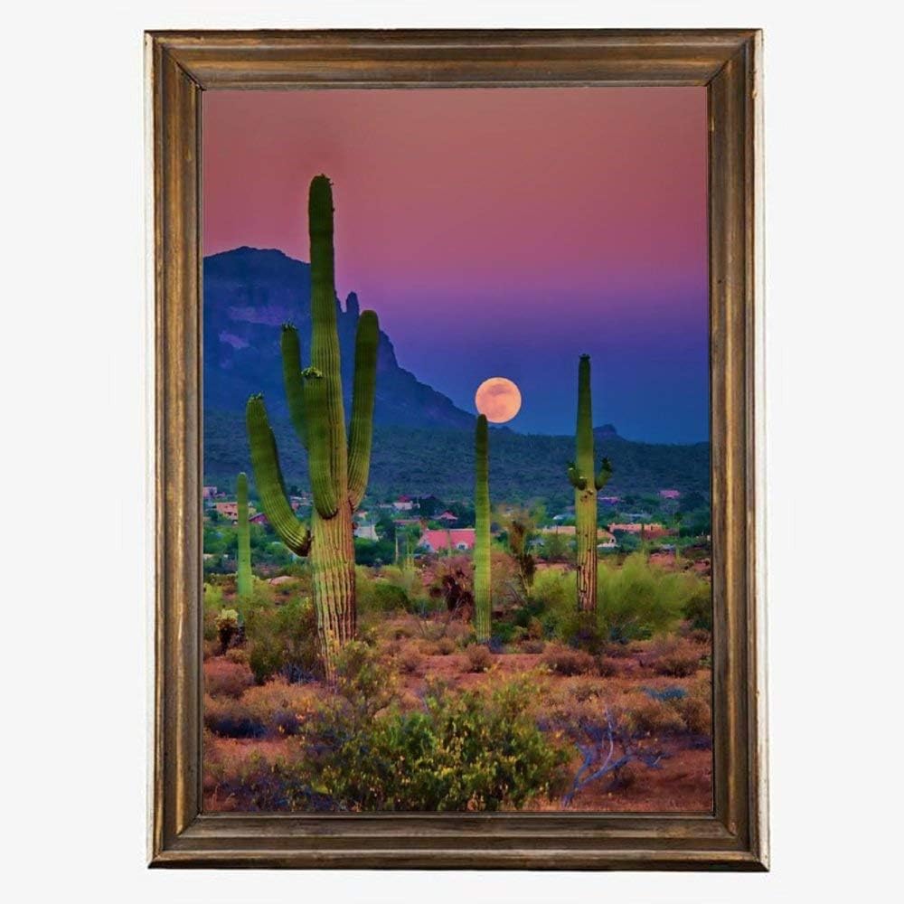 Diamond Art Kits, Beautiful Gem Painting by Numbers for Adults Arts Craft for Home Wall Decor, 5D Diamond Painting Full Drill Cactus(P8-12" x 16")